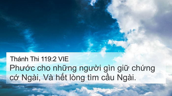 Thánh Thi 119:2 VIE Bible Verse Image