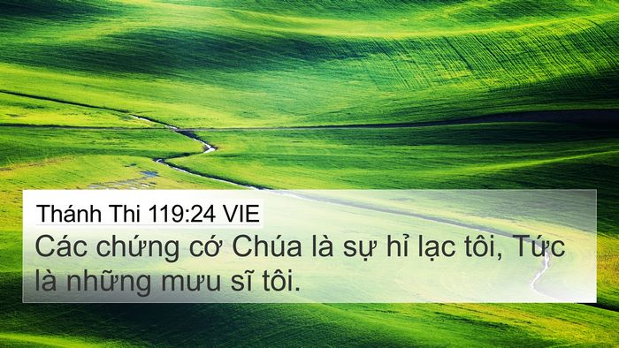 Thánh Thi 119:24 VIE Bible Verse Image