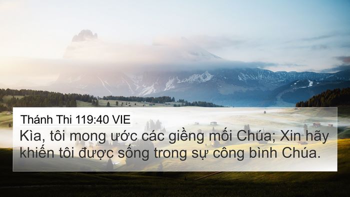 Thánh Thi 119:40 VIE Bible Verse Image