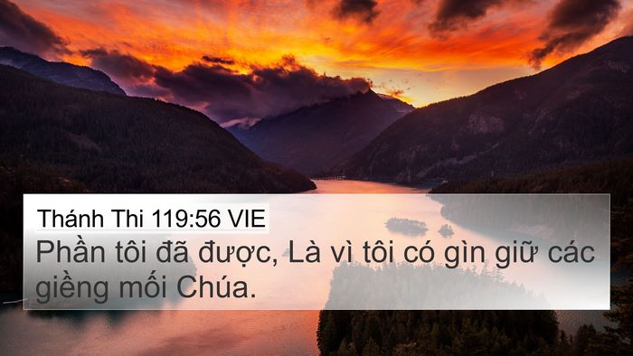 Thánh Thi 119:56 VIE 4K Wallpaper - Phần tôi đã được, Là vì tôi có gìn - 4K Wallpaper Bible Verse