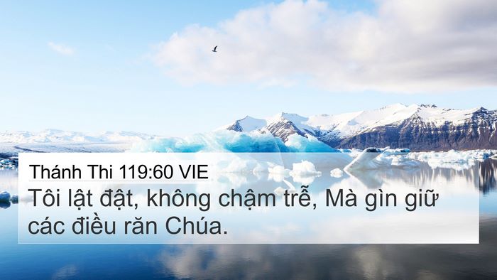 Thánh Thi 119:60 VIE Bible Verse Image