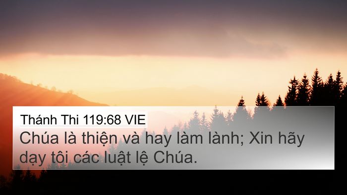 Thánh Thi 119:68 VIE Bible Verse Image