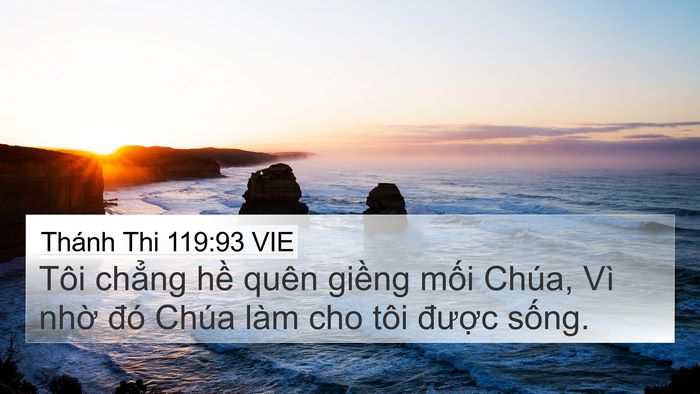 Thánh Thi 119:93 VIE Bible Verse Image