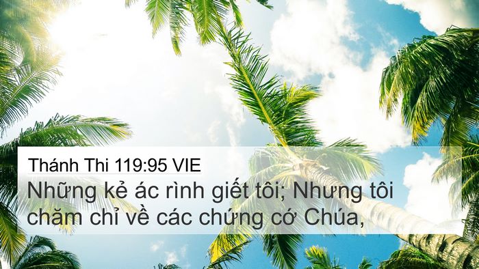 Thánh Thi 119:95 VIE Bible Verse Image
