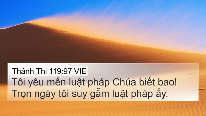 Thánh Thi 119:97 VIE Bible Verse Image