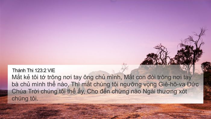 Thánh Thi 123:2 VIE Bible Verse Image