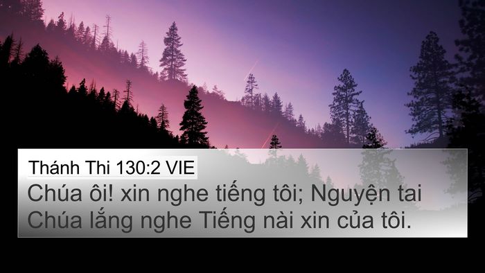Thánh Thi 130:2 VIE Bible Verse Image