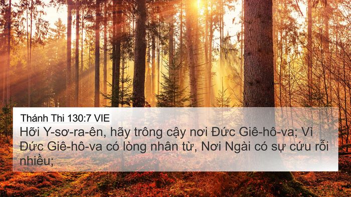 Thánh Thi 130:7 VIE Bible Verse Image