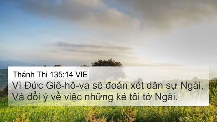 Thánh Thi 135:14 VIE Bible Verse Image
