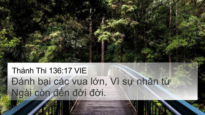 Thánh Thi 136:17 VIE Bible Verse Image