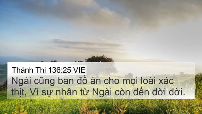 Thánh Thi 136:25 VIE Bible Verse Image