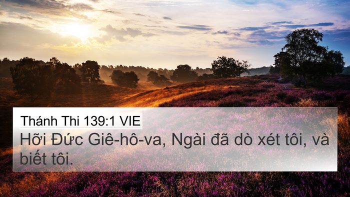 Thánh Thi 139:1 VIE Bible Verse Image