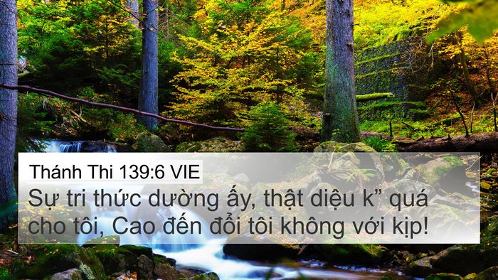 Thánh Thi 139:6 VIE Bible Verse Image