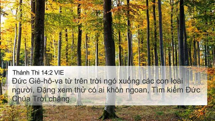 Thánh Thi 14:2 VIE Bible Verse Image