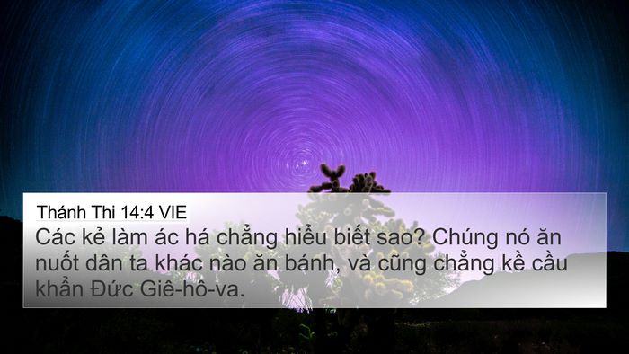 Thánh Thi 14:4 VIE Bible Verse Image