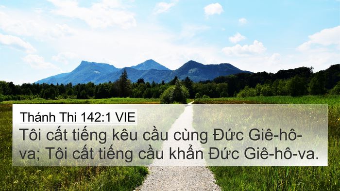 Thánh Thi 142:1 VIE Bible Verse Image