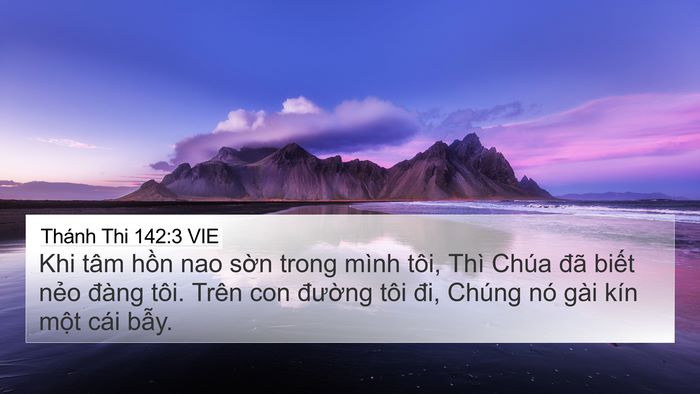 Thánh Thi 142:3 VIE Bible Verse Image