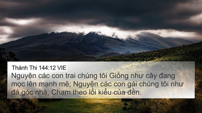 Thánh Thi 144:12 VIE Bible Verse Image