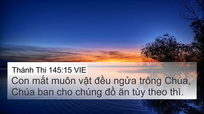 Thánh Thi 145:15 VIE Bible Verse Image