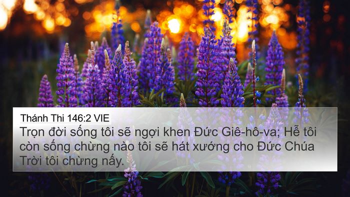 Thánh Thi 146:2 VIE Bible Verse Image