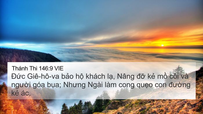 Thánh Thi 146:9 VIE Bible Verse Image
