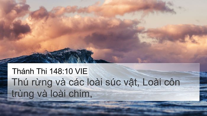 Thánh Thi 148:10 VIE Bible Verse Image