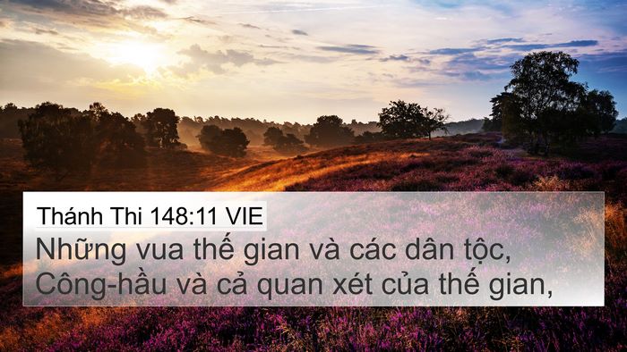 Thánh Thi 148:11 VIE Bible Verse Image