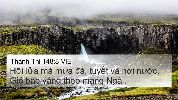 Thánh Thi 148:8 VIE Bible Verse Image
