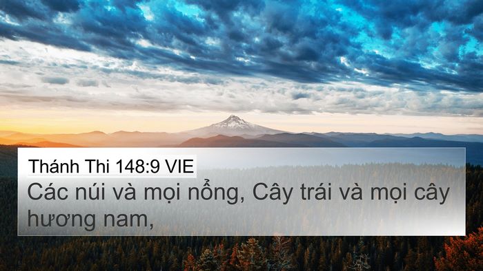 Thánh Thi 148:9 VIE Bible Verse Image