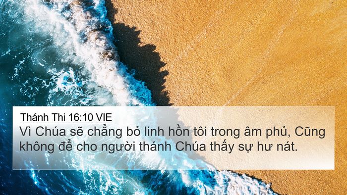 Thánh Thi 16:10 VIE Bible Verse Image