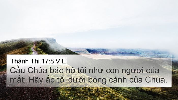 Thánh Thi 17:8 VIE Bible Verse Image