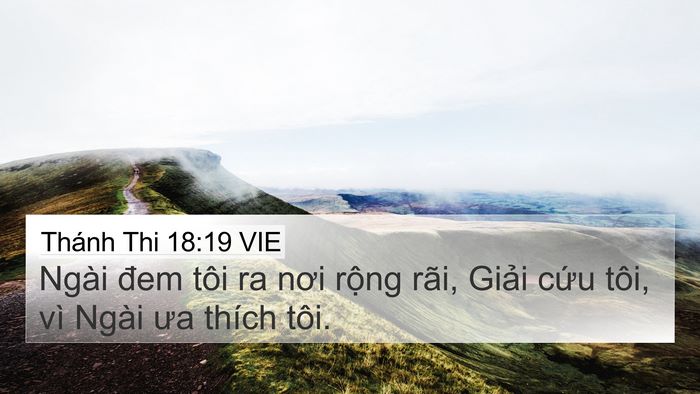 Thánh Thi 18:19 VIE Bible Verse Image