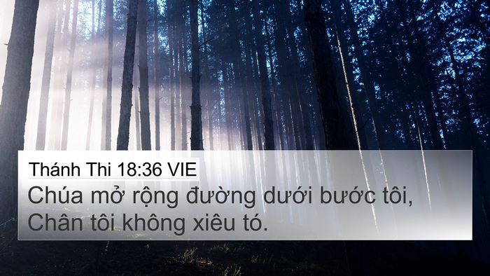 Thánh Thi 18:36 VIE Bible Verse Image