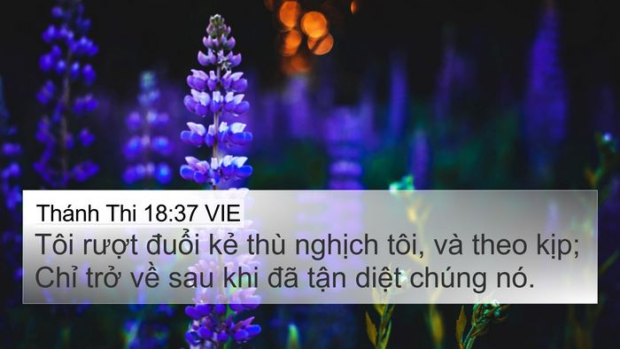Thánh Thi 18:37 VIE Bible Verse Image