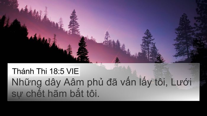 Thánh Thi 18:5 VIE Bible Verse Image