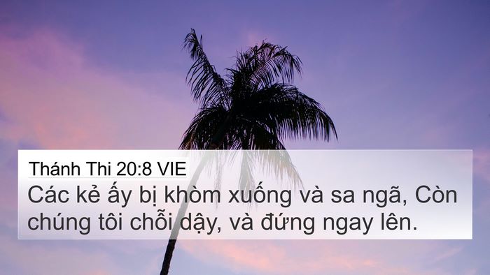 Thánh Thi 20:8 VIE 4K Wallpaper - Các kẻ ấy bị khòm xuống và sa ngã, - 4K Wallpaper Bible Verse