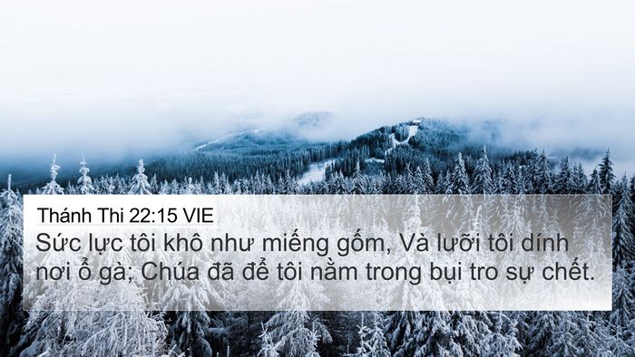 Thánh Thi 22:15 VIE Bible Verse Image