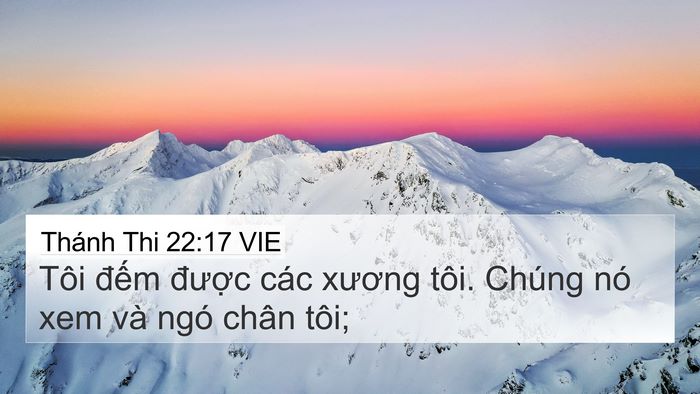 Thánh Thi 22:17 VIE Bible Verse Image