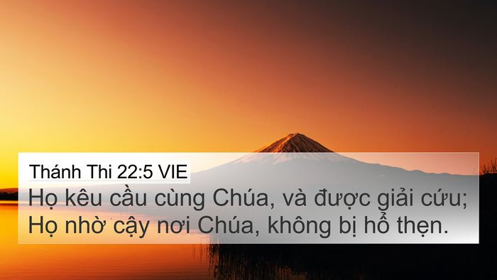 Thánh Thi 22:5 VIE Bible Verse Image