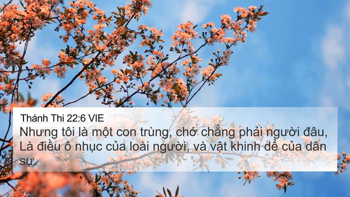 Thánh Thi 22:6 VIE Bible Verse Image