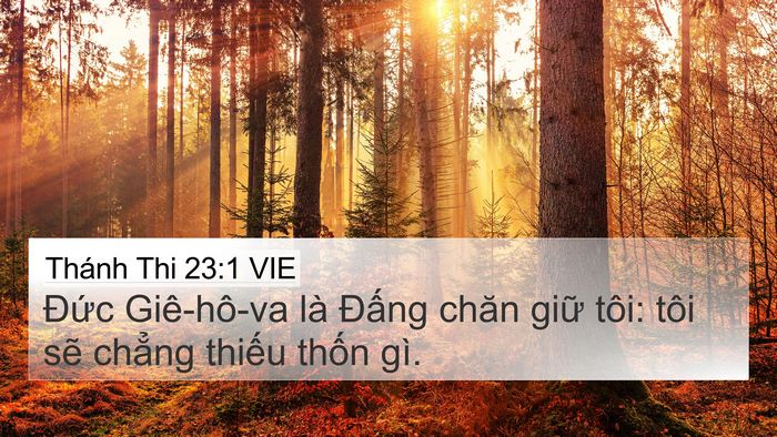 Thánh Thi 23:1 VIE 4K Wallpaper - Đức Giê-hô-va là Đấng chăn giữ tôi: - 4K Wallpaper Bible Verse