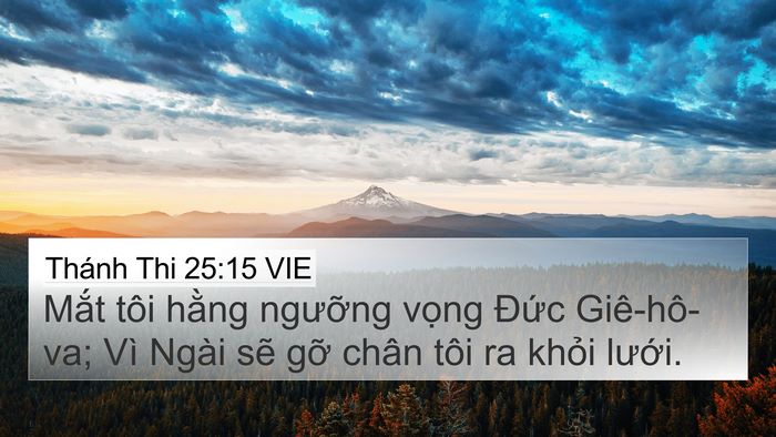 Thánh Thi 25:15 VIE Bible Verse Image