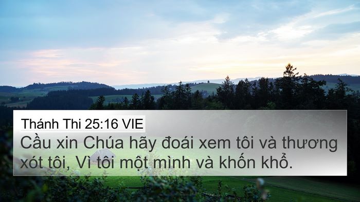 Thánh Thi 25:16 VIE Bible Verse Image