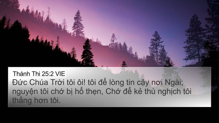 Thánh Thi 25:2 VIE Bible Verse Image