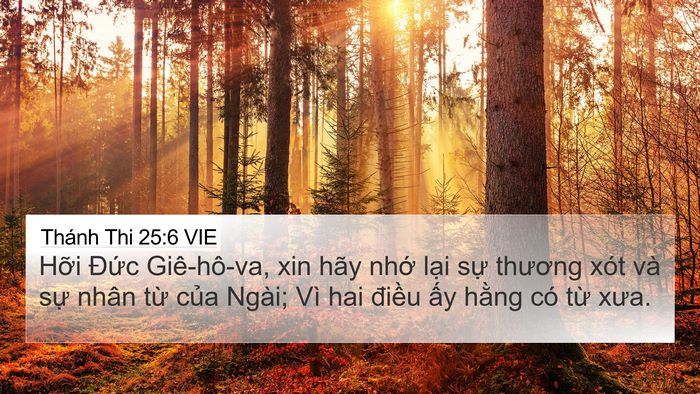 Thánh Thi 25:6 VIE Bible Verse Image