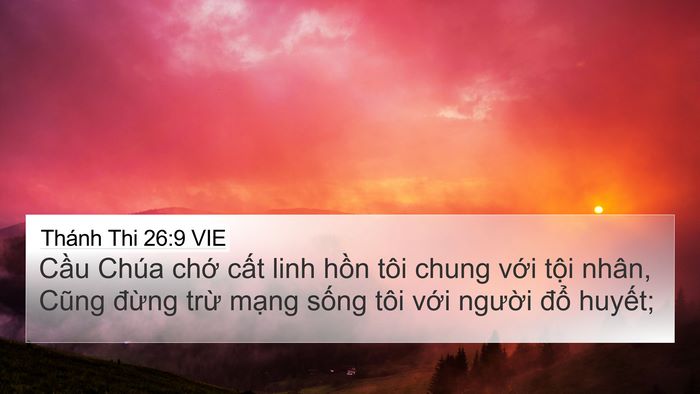 Thánh Thi 26:9 VIE Bible Verse Image