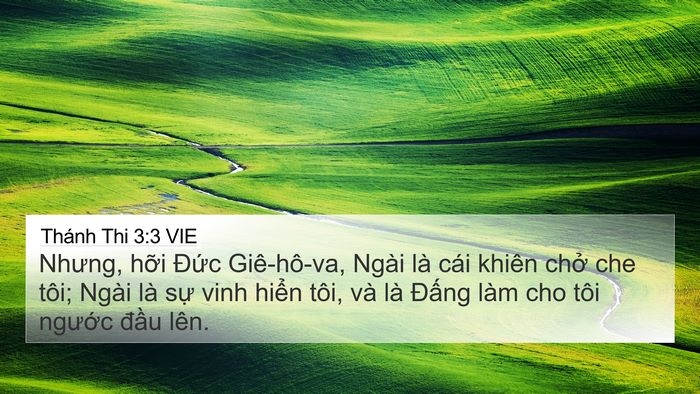 Thánh Thi 3:3 VIE Bible Verse Image