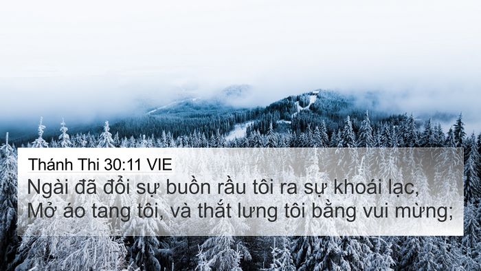 Thánh Thi 30:11 VIE Bible Verse Image