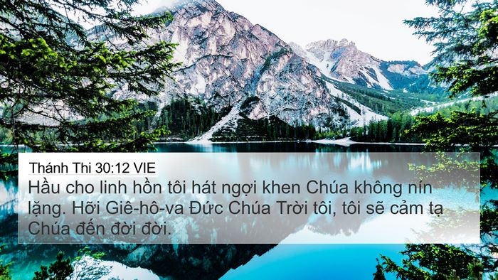 Thánh Thi 30:12 VIE Bible Verse Image