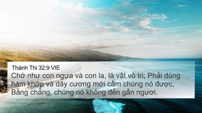 Thánh Thi 32:9 VIE Bible Verse Image